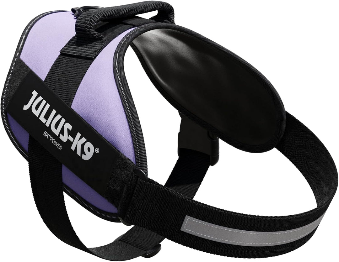 Julius-K9, IDC Powergeschirr, Grösse: XL / 2, Lila Lila XL / 2, Lila XL / 2