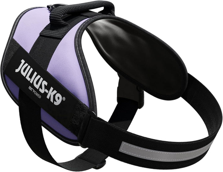 Julius-K9, IDC Powergeschirr, Grösse: XL / 2, Lila Lila XL / 2, Lila XL / 2