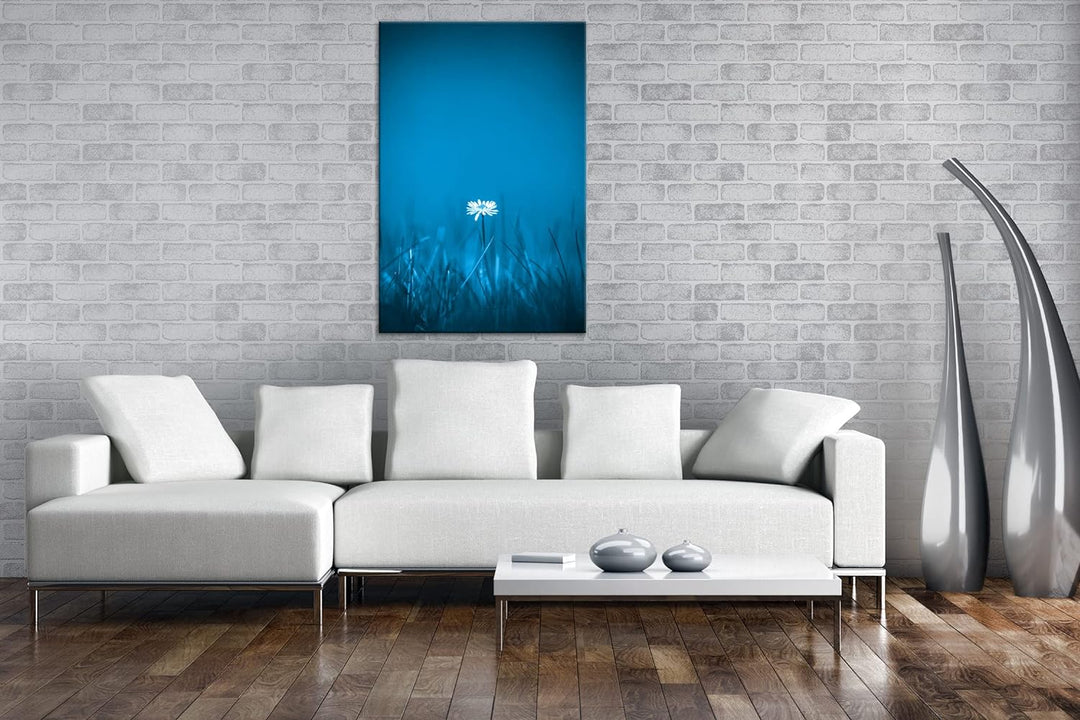 deyoli einzelnes Gänseblümchen Format 100x70 Effekt: Monocrome Blau als Leinwandbild, Motiv fertig g