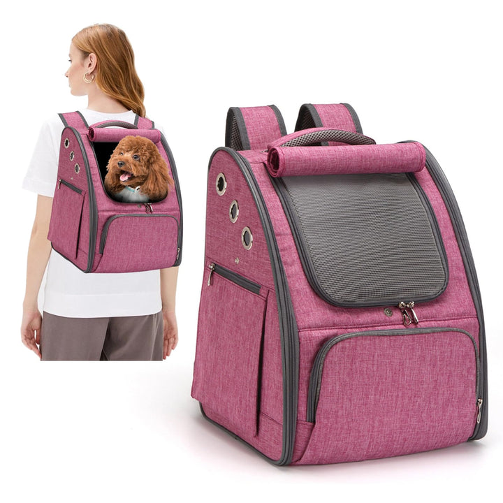 PETCUTE Hunderucksack Atmungsaktiv Katzenrucksack Hundetragetasche Faltbar Haustier Rucksäcke Wander