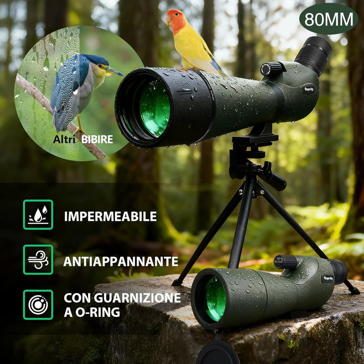 BIBIRE HD-Spektive für das Zielschiessen, 25-75x80-Winkelspektiv mit Stativ und Smartphone-Adapter,