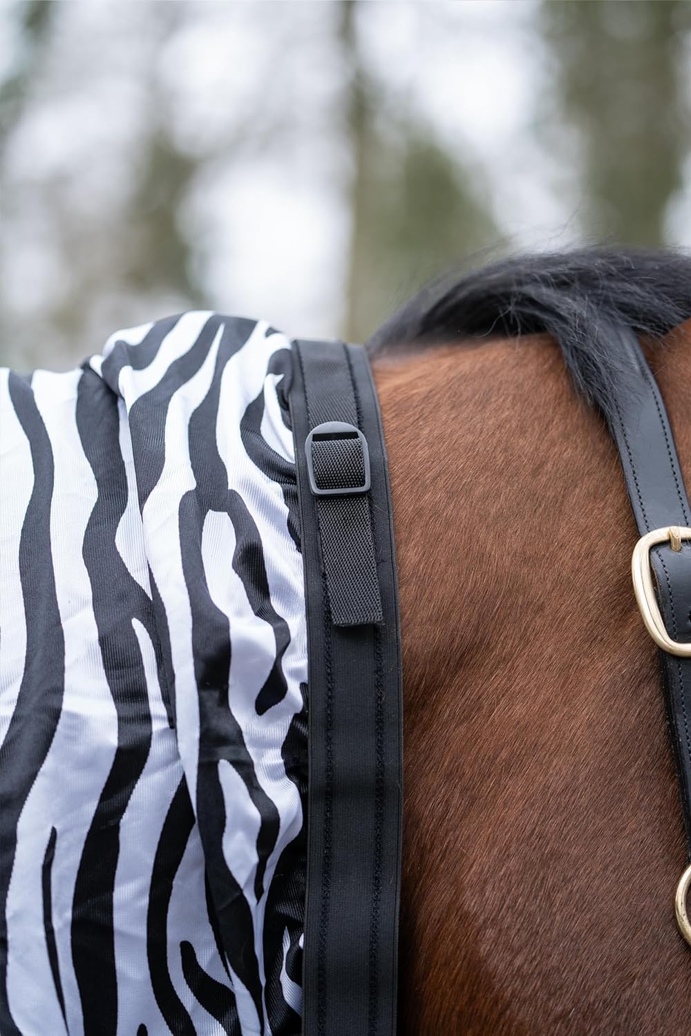 HKM 568198 Ekzemer Decke Zebra, 95 85, 85