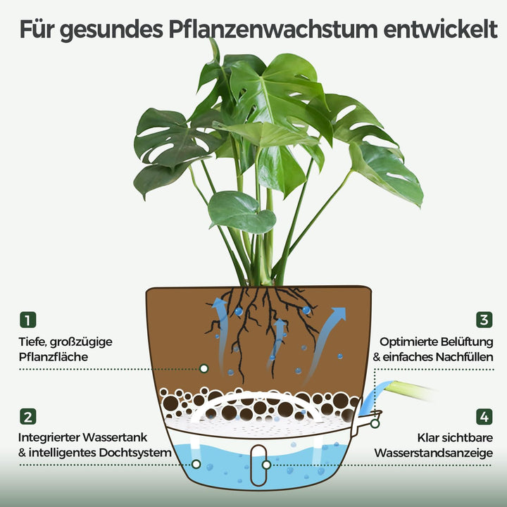 T4U 2er Set Automatische Bewässerung Übertopf 20 cm Durchmesser, Kräutertopf Küche, Kräutertöpfe – g