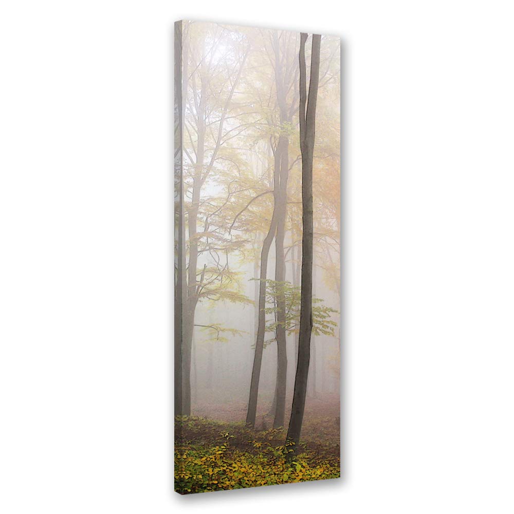 Feeby Leinwand Bilder - Natur - Wald - 50x150 cm- Deko Wohnzimmer - Wandbilder Schlafzimmer - Deko A
