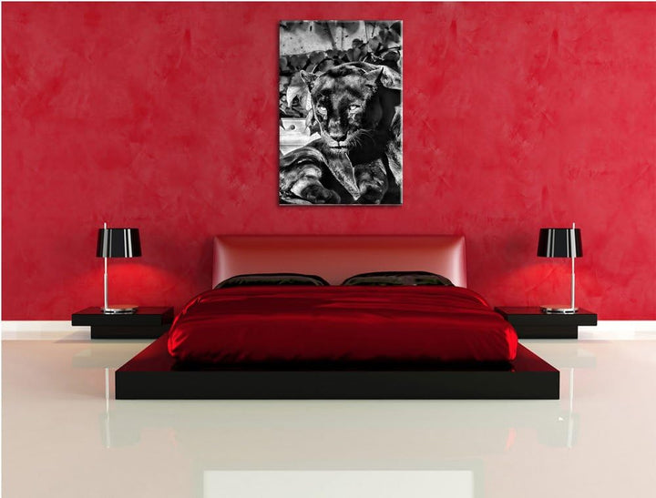 Pixxprint Monocrome, schwarzer Panther, Format: 100x70 auf Leinwand, 100x70