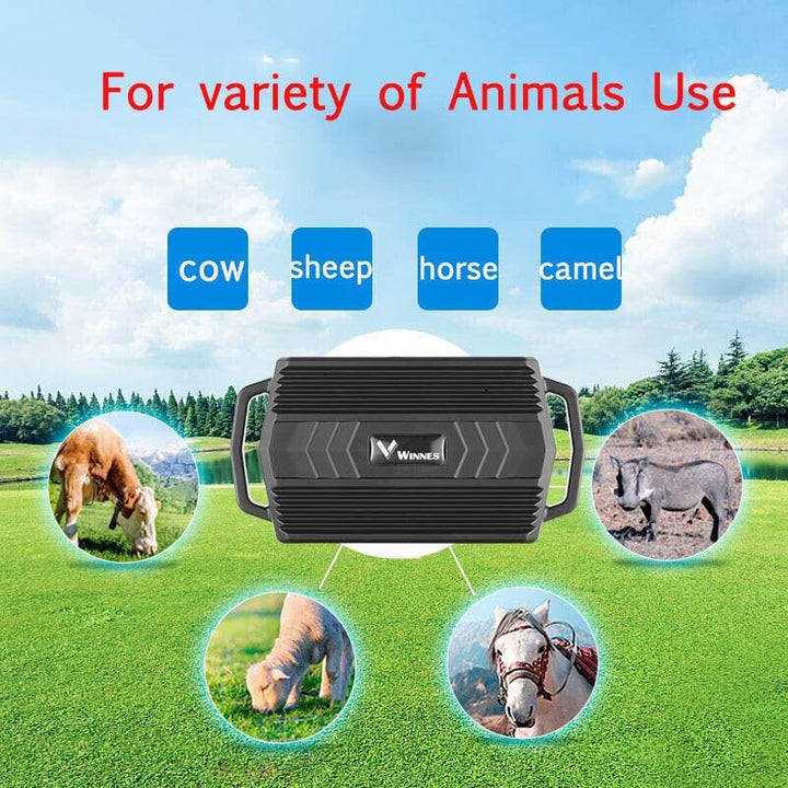 4G GPS Tracker Tier mit Halsband, 3000mAh Wasserdicht Rinder Schaf GPS-Tracker Weiden Anti Verloren