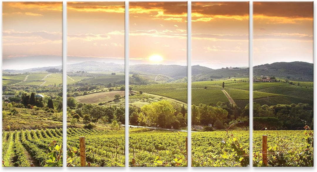 islandburner Leinwandbild Chianti Weinberg Landschaft In Der Toskana Italien - Leinwand 160x80cm - 5