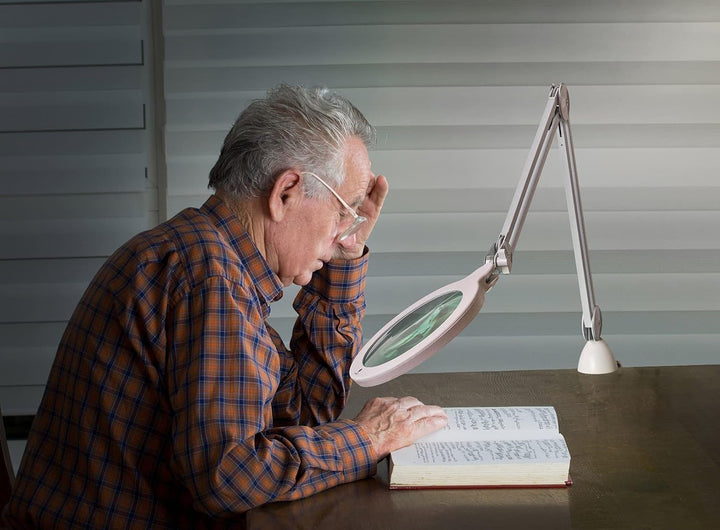 Daylight MAG Lampe Zeitgenössisch, Zeitgenössisch