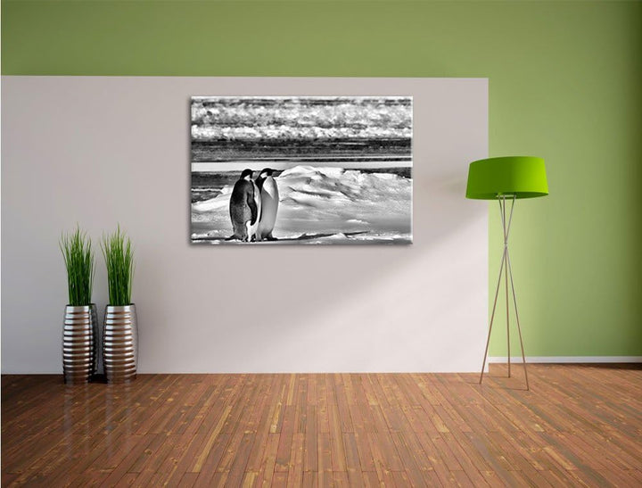 Pixxprint Monocrome, Zwei Kaiserpinguine auf Eisscholle, Format: 100x70 auf Leinwand, 100x70