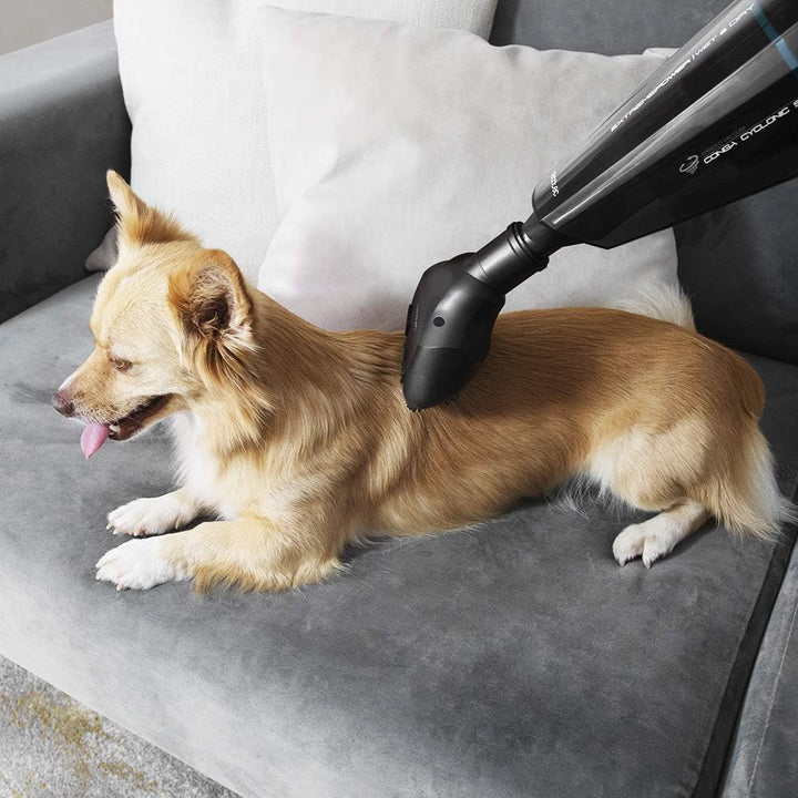 Cecotec Handstaubsauger Conga Immortal ExtremeSuction 22,2V Animal Hand, Leistungsstark, Für Feststo