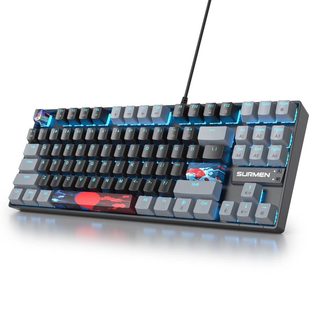 SOLIDEE Tragbare 80% mechanische Gaming-Tastatur,87 Tasten kompakte RGB LED-Hintergrundbeleuchtung,k