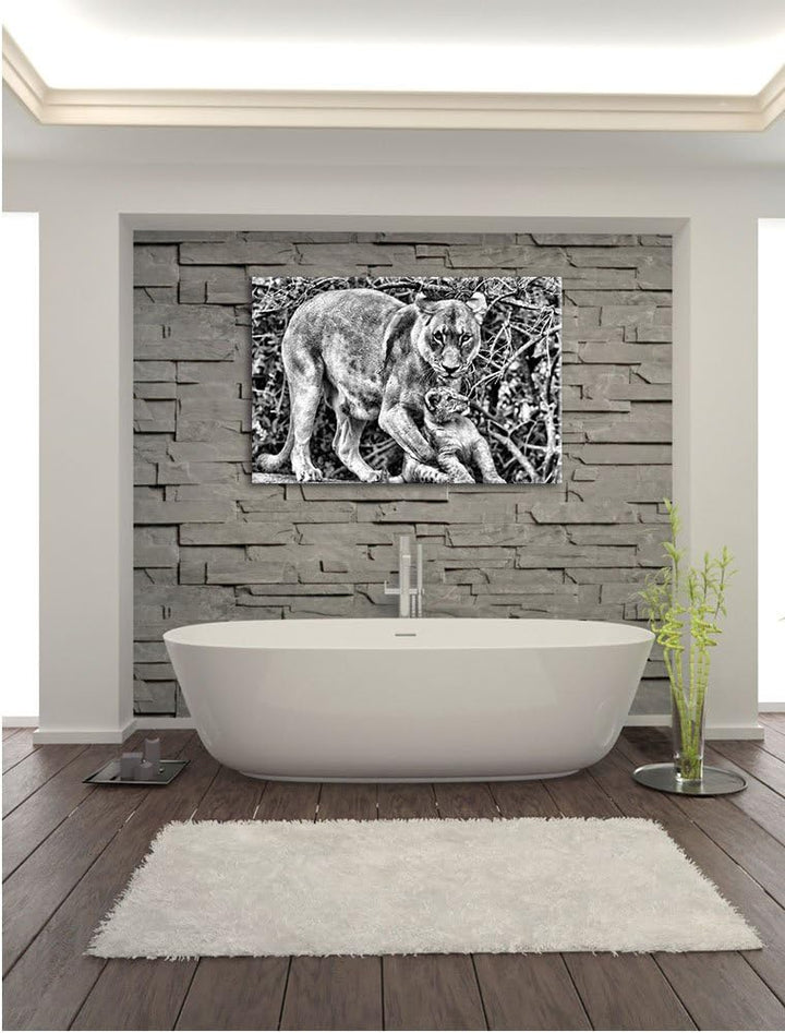 Pixxprint Löwin spielt mit Jungtier als Leinwandbild/Grösse: 100x70 / Wandbild/Kunstdruck/fertig bes