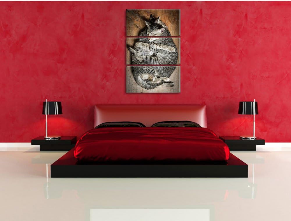 Pixxprint Kuschelnde Katzen 3-Teiler Leinwandbild 120x80 Bild auf Leinwand
