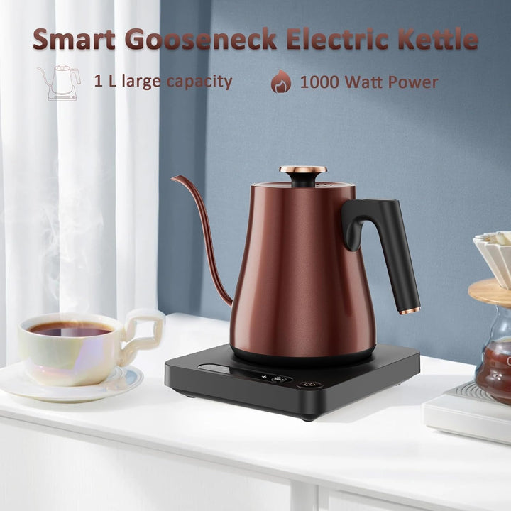 Schwanenhals Wasserkocher mit Temperatureinstellung 1.0L, Wasserkocher Retro Vintage 1000W, 100% Ede
