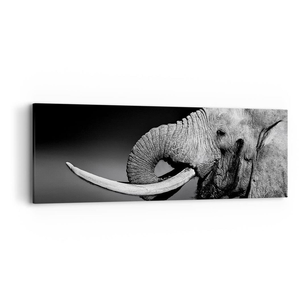 Panorama Bilder auf Leinwand Elefant Stosszahn Natur Leinwandbild 90x30cm Wandbilder Dekoration Wohn