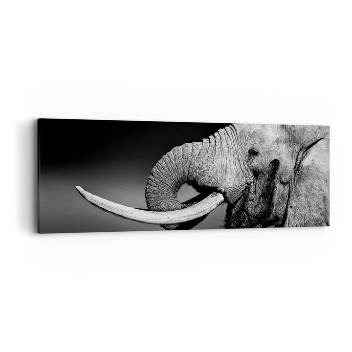 Panorama Bilder auf Leinwand Elefant Stosszahn Natur Leinwandbild 90x30cm Wandbilder Dekoration Wohn