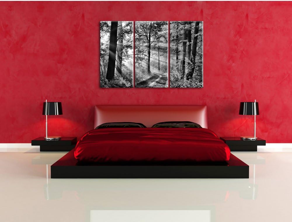 Pixxprint Monocrome, Waldweg im Winter 3-Teiler Leinwandbild 120x80 Bild auf Leinwand