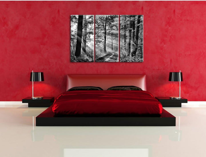 Pixxprint Monocrome, Waldweg im Winter 3-Teiler Leinwandbild 120x80 Bild auf Leinwand