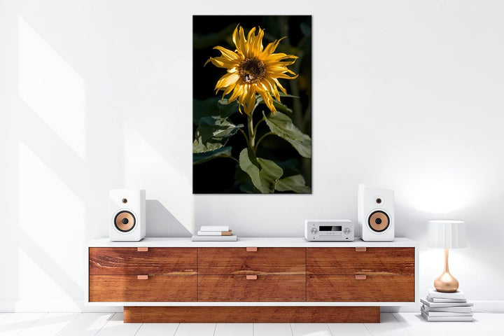 deyoli Blühende Sonnenblume Format:75x50 cm als Leinwandbild, Motiv fertig gerahmt auf Echtholzrahme