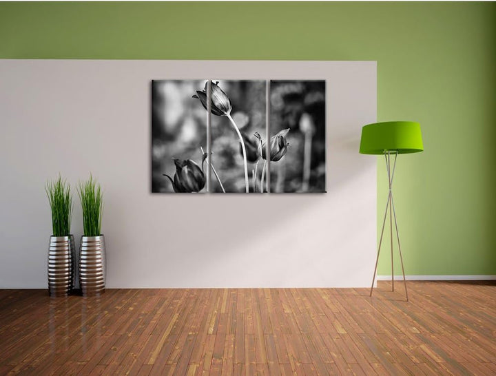 Pixxprint Tulpen im Abendlicht als Leinwandbild/Grösse: 3 Teilig (120x80) cm/Wandbild/Kunstdruck/fer
