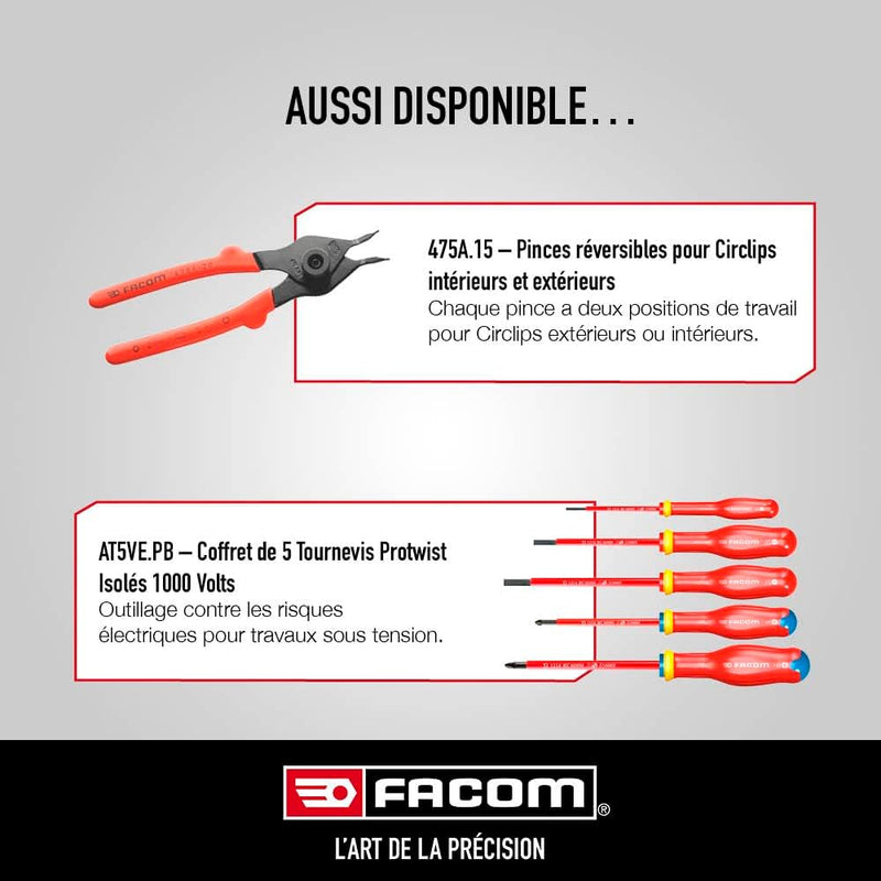 Facom 470 – Ringe Spiel 2 Block Zangen
