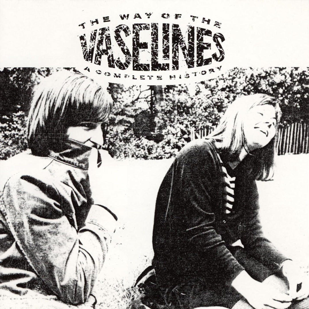 The Way of the Vaselines - a Complete History, Vinyl
