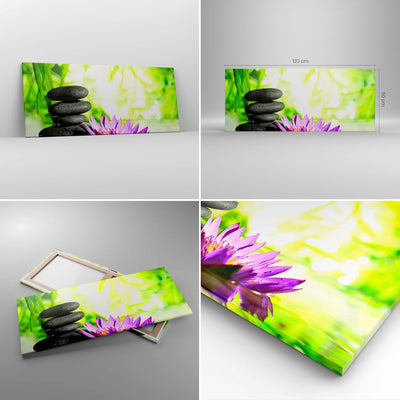 Wandbilder Dekoration Wohnzimmer Spa bambus blume wasser Panorama Bilder auf Leinwand 120x50cm Leinw