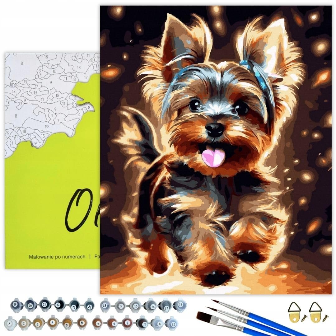 Oh Art! Malen Nach Zahlen Erwachsene Paint By Numbers Adult Set Mit 3 Pinseln Acrylfarben Und Leinwa