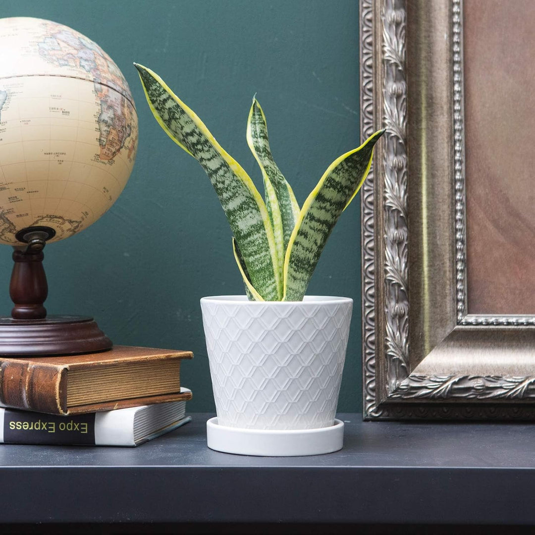 Buymax Blumentöpfe für den Innenbereich, 12.7 cm, Keramik-Blumentopf mit Ablaufloch und Keramik-Tabl