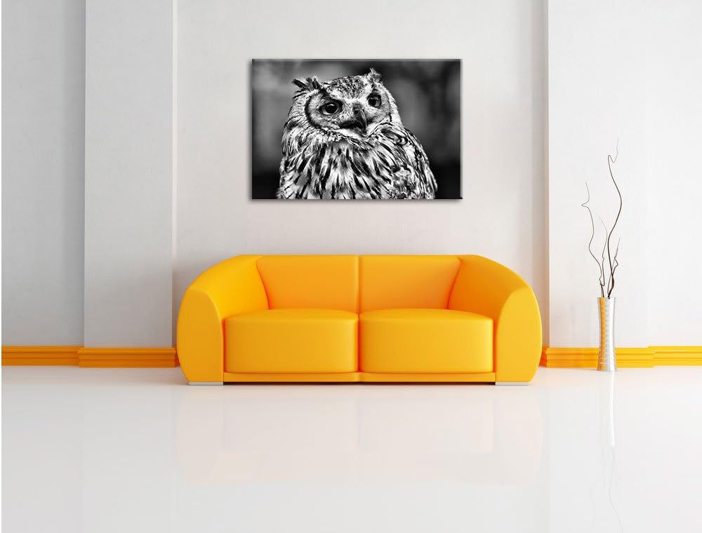 Pixxprint sehr müde Waldeule als Leinwandbild/Grösse: 100x70 / Wandbild/Kunstdruck/fertig bespannt,