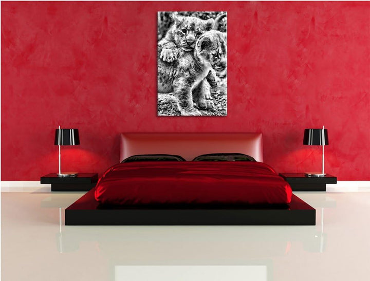 Pixxprint Monocrome, spielende Löwenjunge, Format: 100x70 auf Leinwand, 100x70