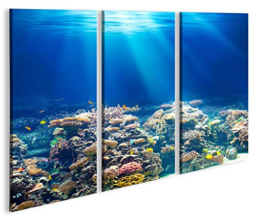 islandburner Bild Bilder auf Leinwand Unterwasser Tauchen Korallen Meerwasser 3p XXL Poster Leinwand