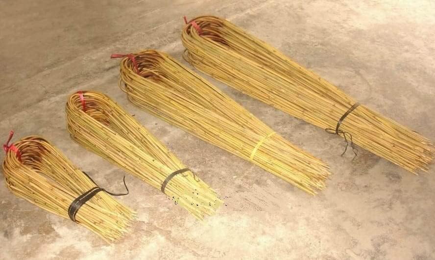 DIXIE STORE Gebogener Bambus Bambusstifte Natürliche - für Pflanzen Dekoratives Element Rankhilfe Cl