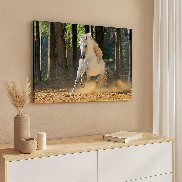 Bilder auf Leinwand 100x70cm Leinwandbild Staub Emotionen Pferd Natur Gross Wanddeko Bild Schlafzimm