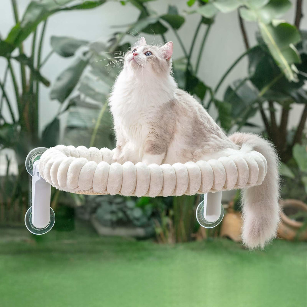GUUSII HOME Katzen Fensterliege Faltbar Katzenbett Fenster Katzenliege Fensterbank Hängematte 4 Saug