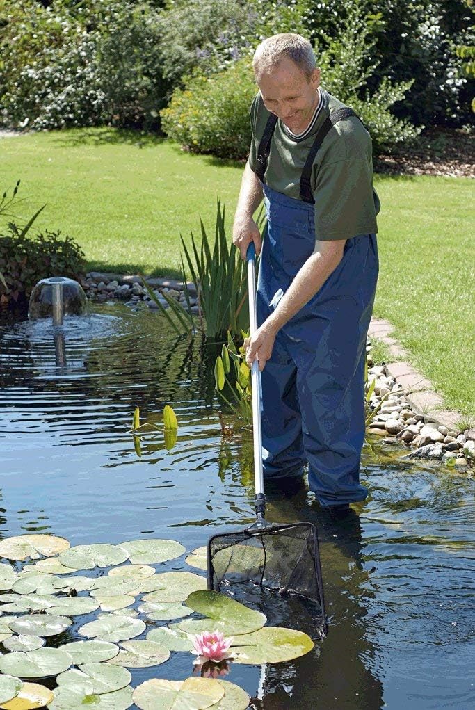 OASE 50078 Profi Teichkescher - Kescher, Fischkescher, Teichzubehör, Teichreinigung, Entfernung von