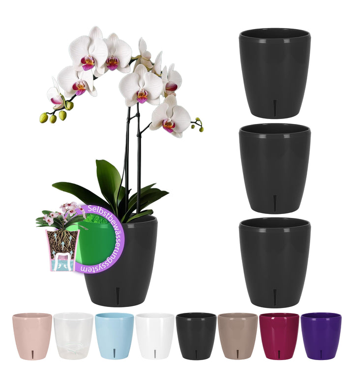 Santino 4er-Set Orchideentopf D 12cm Selbstbewässernder Topf mit Dochtsystem und Wasserstandsanzeige
