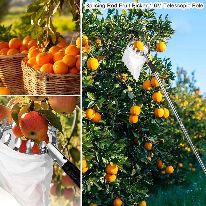 Teleskop Obstpflücker | Höhenverstellbarer Obstpflücker Mit Teleskopstiel,Edelstahl-Greifer Mit Vers