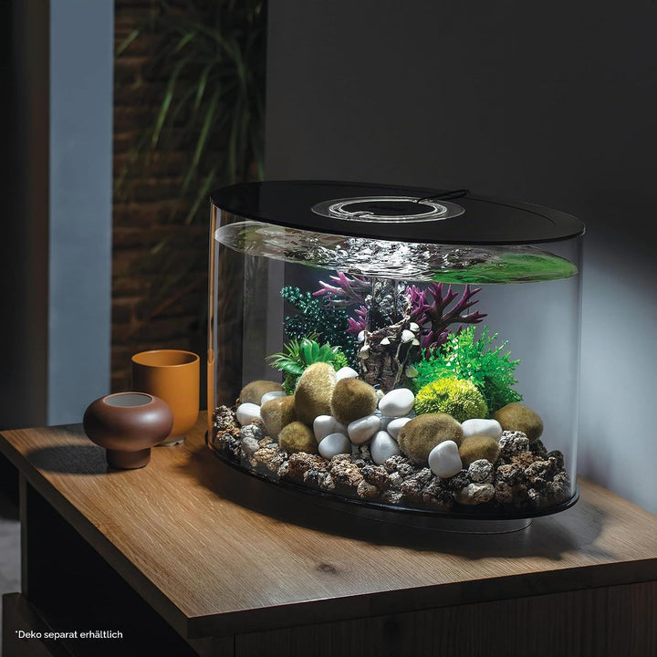 biOrb LOOP 15 LED Aquarium, 15 Liter - Aquarien Komplett-Set mit patentiertem Filter-System, Acryl-B