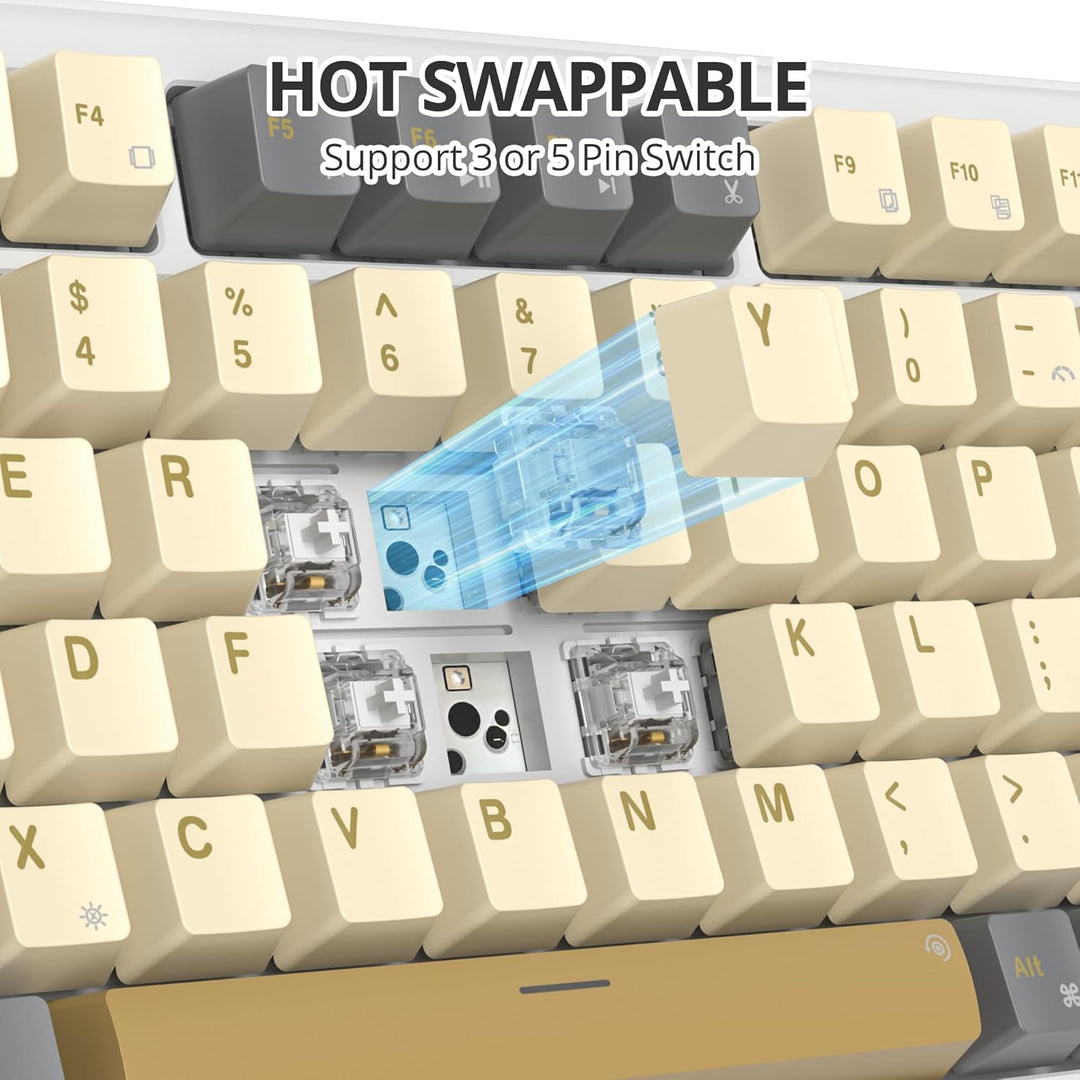 SOLIDEE Verkabelte Mechanische Gaming Tastatur 75 Prozent, Hot-Swap-Fähig Mit Gasket Struktur, RGB H