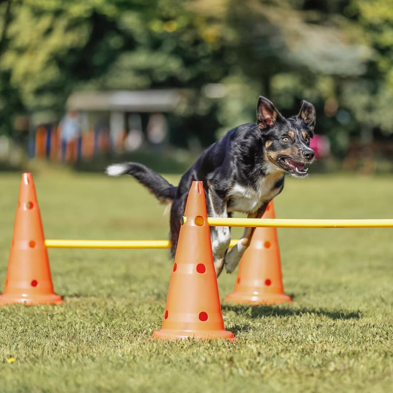 Trixie 32091 Dog Activity Hindernisse, 3 St., ø 23 × 30 cm/78 cm, orange/gelb, 3 St., ø 23 × 30 cm/7