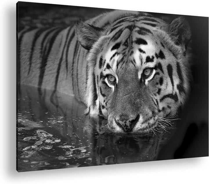deyoli lauernder Tiger Format: 60x40 cm Effekt: Schwarz&Weiss als Leinwandbild, Motiv fertig gerahmt