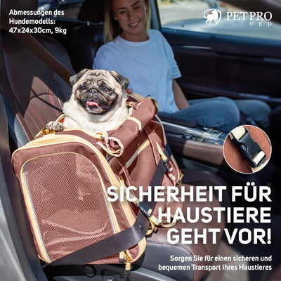 PETPROVED Transportbox Hund Katze Hundetransportbox Hundetasche Kleine Hunde Katzentransportbox Hund