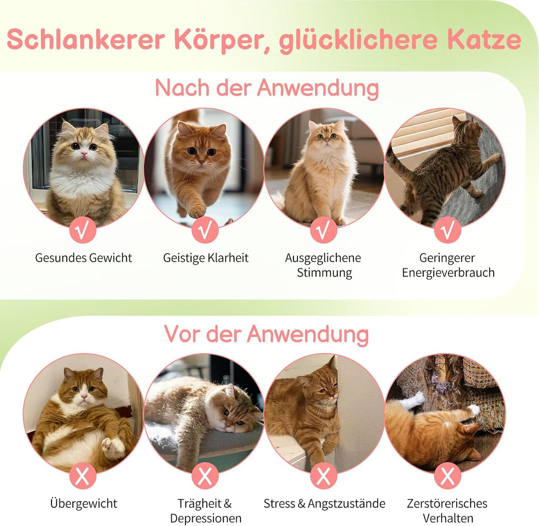 LEADZM Katzenlaufrad 80cm Durchmesser - Laufrad Katze aus Kunststoff, Inklusive Teppich und Katzensp