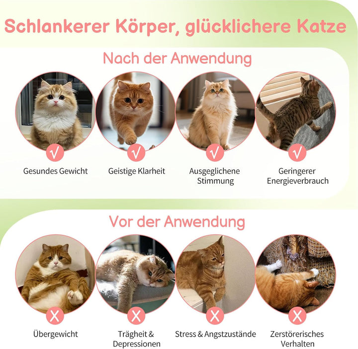 LEADZM Katzenlaufrad 80cm Durchmesser - Laufrad Katze aus Kunststoff, Inklusive Teppich und Katzensp