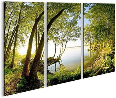 islandburner Bild Bilder auf Leinwand Treelake V2 Baum am See 3p XXL Poster Leinwandbild Wandbild De