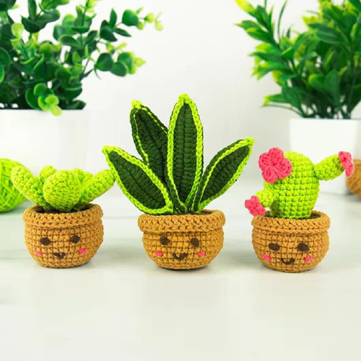Mini Zimmerpflanzen Häkelset - DIY Häkeltrio für Anfänger | Schlangenpflanze, Sukkulenten &amp; Kaktus h