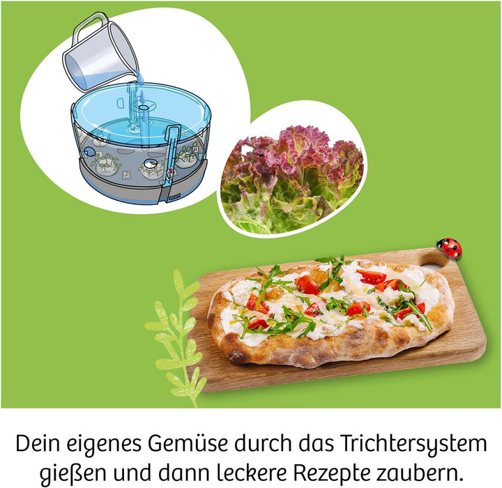 KOSMOS 637293 Hydro-Garten, Pflück-Spass ohne Erde, Experimentierkasten für Kinder ab 8 Jahre, Hydro