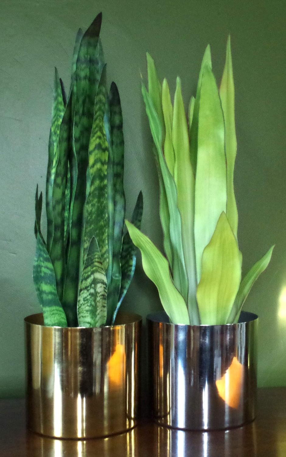 Leaf Kunstpflanze, Blätter, 70 cm, Kunststoff, Zeylanica Sansevieria Zeylanica Sansevieria 70 cm, Ze
