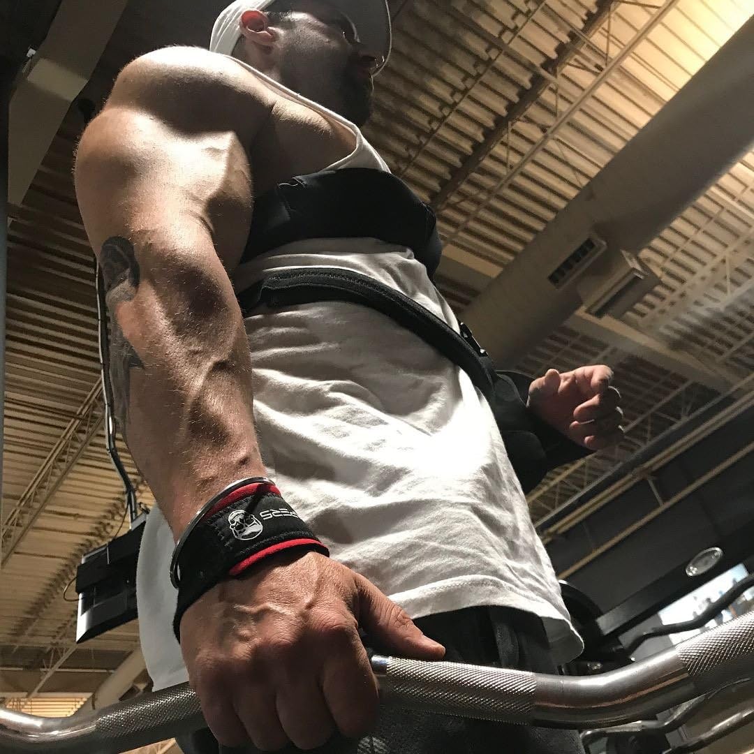 Gymreapers Hebehandschlaufen für Gewichtheben, Bodybuilding, Kraftdreikampf, Krafttraining, Kreuzheb